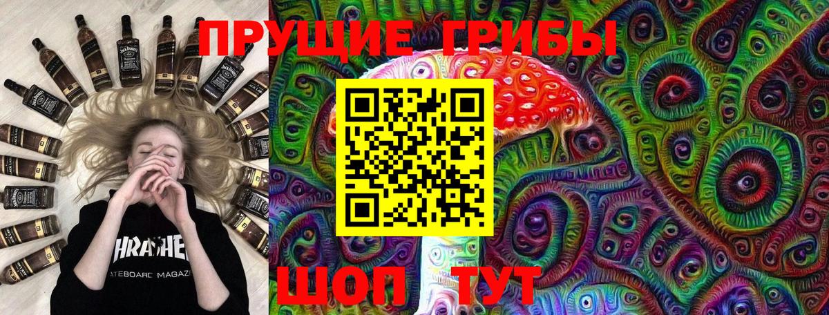 Псилоцибиновые грибы мицелий Гудермес